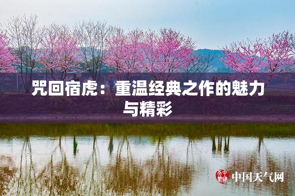 咒回宿虎：重温经典之作的魅力与精彩