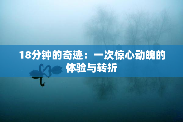 18分钟的奇迹：一次惊心动魄的体验与转折