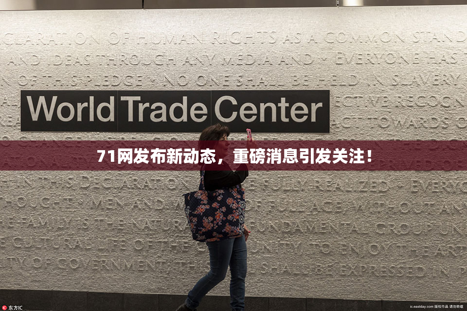 71网发布新动态，重磅消息引发关注！