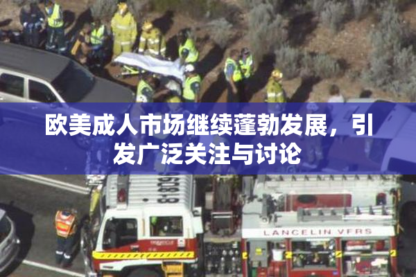 欧美成人市场继续蓬勃发展，引发广泛关注与讨论