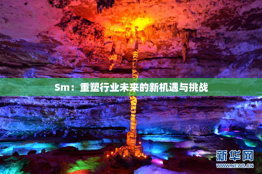Sm：重塑行业未来的新机遇与挑战