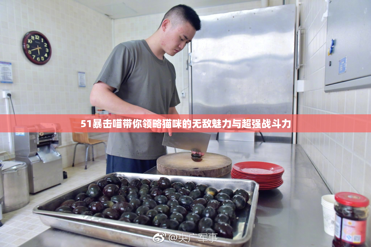 51暴击喵带你领略猫咪的无敌魅力与超强战斗力
