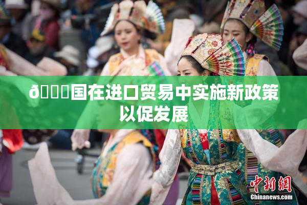 🔞国在进口贸易中实施新政策以促发展
