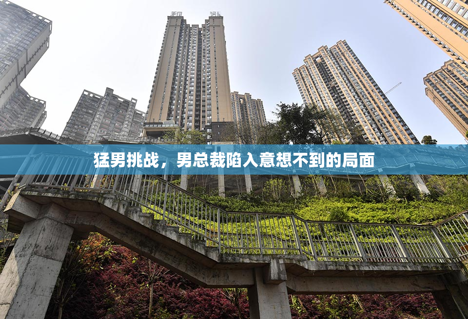 猛男挑战，男总裁陷入意想不到的局面