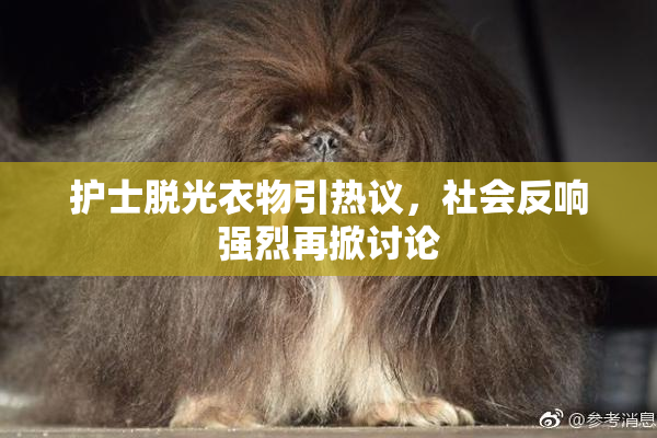 护士脱光衣物引热议，社会反响强烈再掀讨论