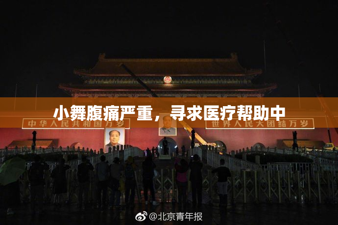 小舞腹痛严重，寻求医疗帮助中