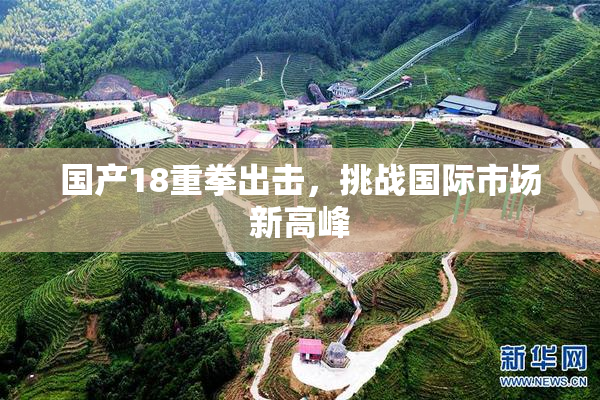 国产18重拳出击，挑战国际市场新高峰