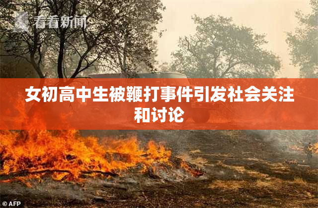 女初高中生被鞭打事件引发社会关注和讨论