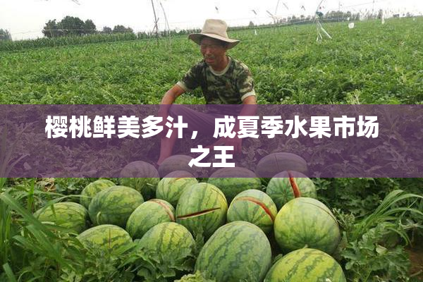 樱桃鲜美多汁，成夏季水果市场之王