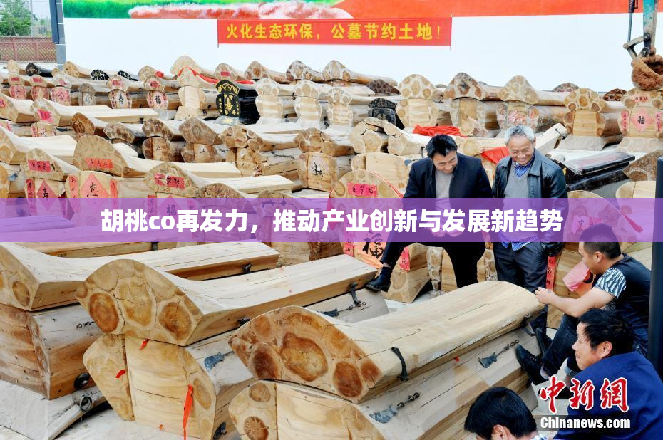 胡桃co再发力，推动产业创新与发展新趋势