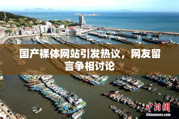国产裸体网站引发热议，网友留言争相讨论