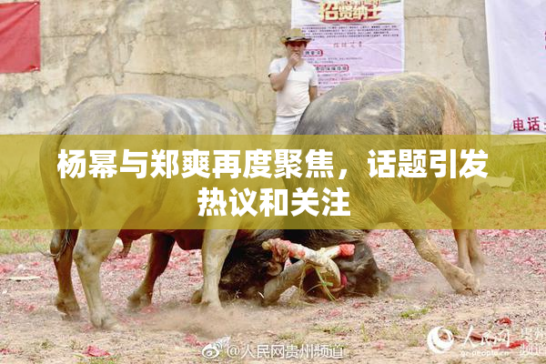 杨幂与郑爽再度聚焦，话题引发热议和关注