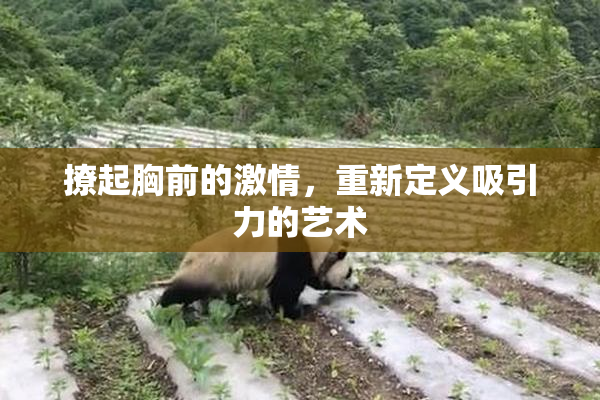 撩起胸前的激情，重新定义吸引力的艺术