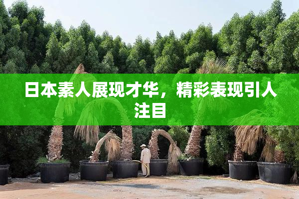 日本素人展现才华，精彩表现引人注目