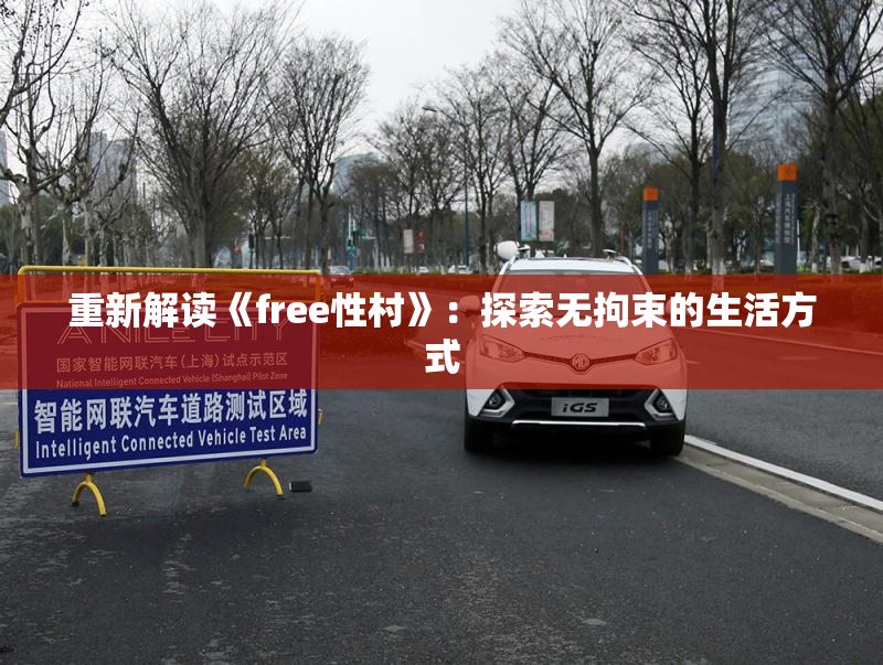 重新解读《free性村》：探索无拘束的生活方式