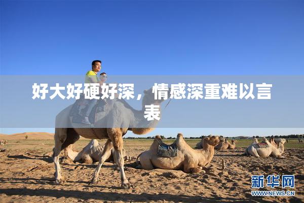 好大好硬好深，情感深重难以言表