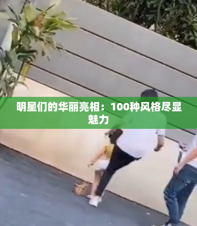 明星们的华丽亮相：100种风格尽显魅力