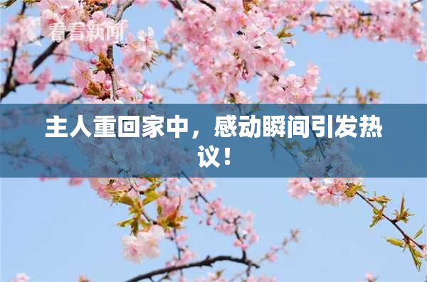 主人重回家中，感动瞬间引发热议！