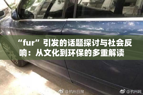“fur”引发的话题探讨与社会反响：从文化到环保的多重解读
