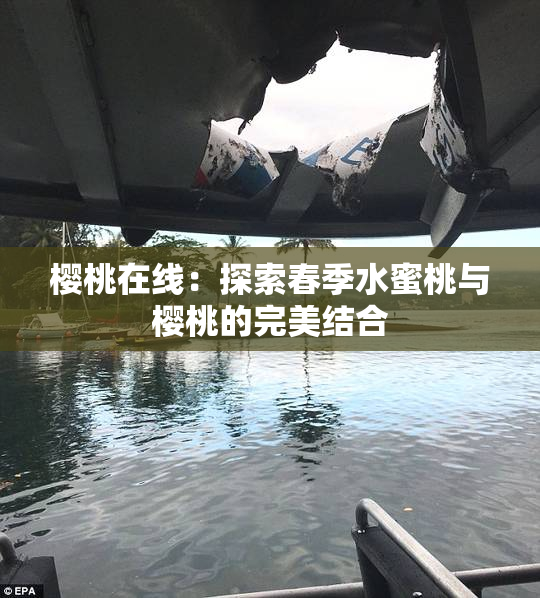 樱桃在线：探索春季水蜜桃与樱桃的完美结合