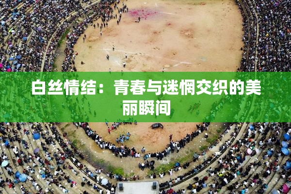 白丝情结：青春与迷惘交织的美丽瞬间