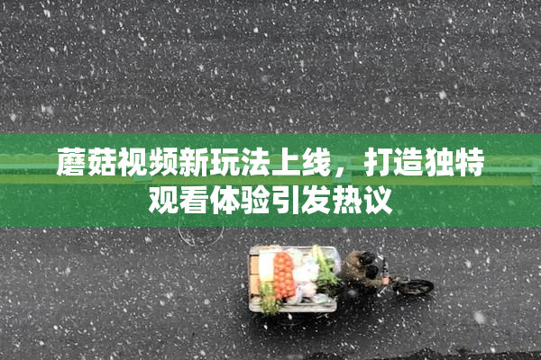 蘑菇视频新玩法上线，打造独特观看体验引发热议