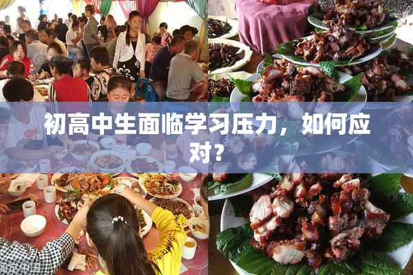 初高中生面临学习压力，如何应对？