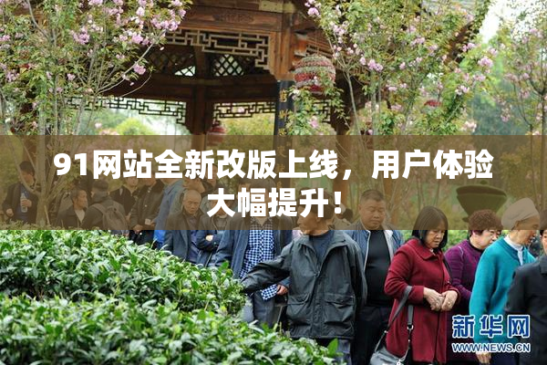 91网站全新改版上线，用户体验大幅提升！