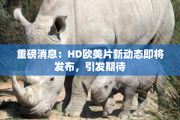 重磅消息：HD欧美片新动态即将发布，引发期待