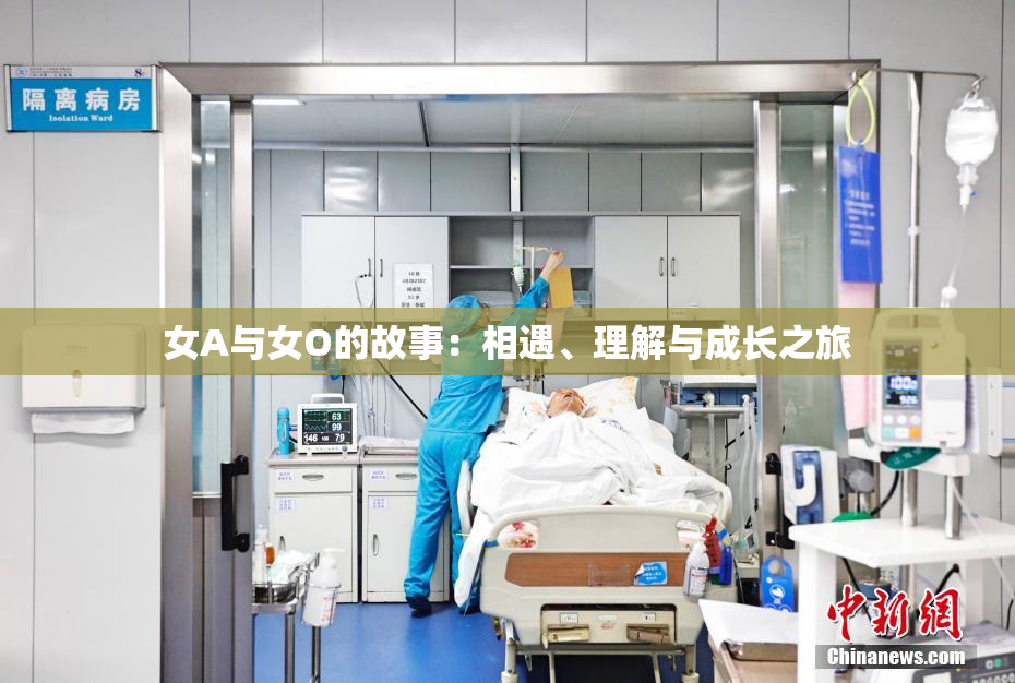 女A与女O的故事：相遇、理解与成长之旅