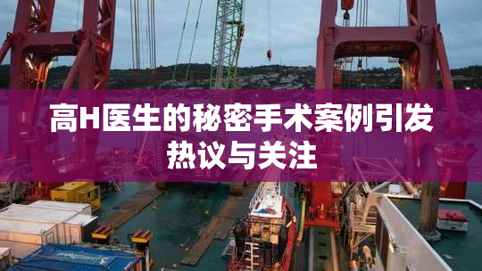 高H医生的秘密手术案例引发热议与关注