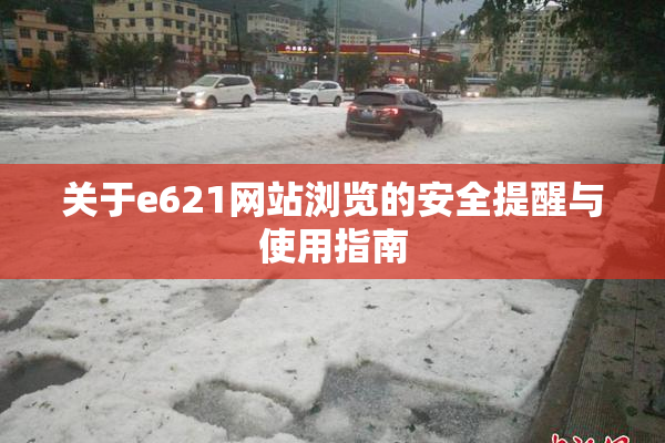 关于e621网站浏览的安全提醒与使用指南