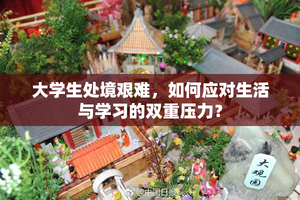 大学生处境艰难，如何应对生活与学习的双重压力？
