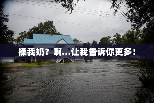 揉我奶？啊…让我告诉你更多！