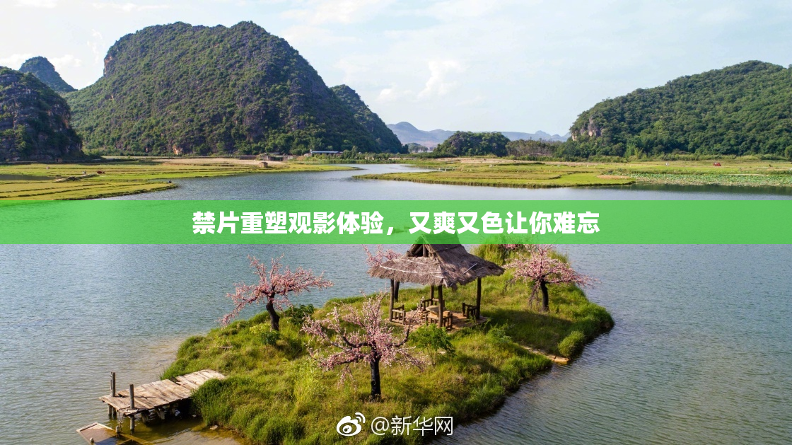 禁片重塑观影体验，又爽又色让你难忘