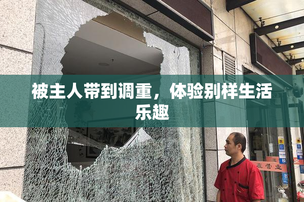 被主人带到调重，体验别样生活乐趣