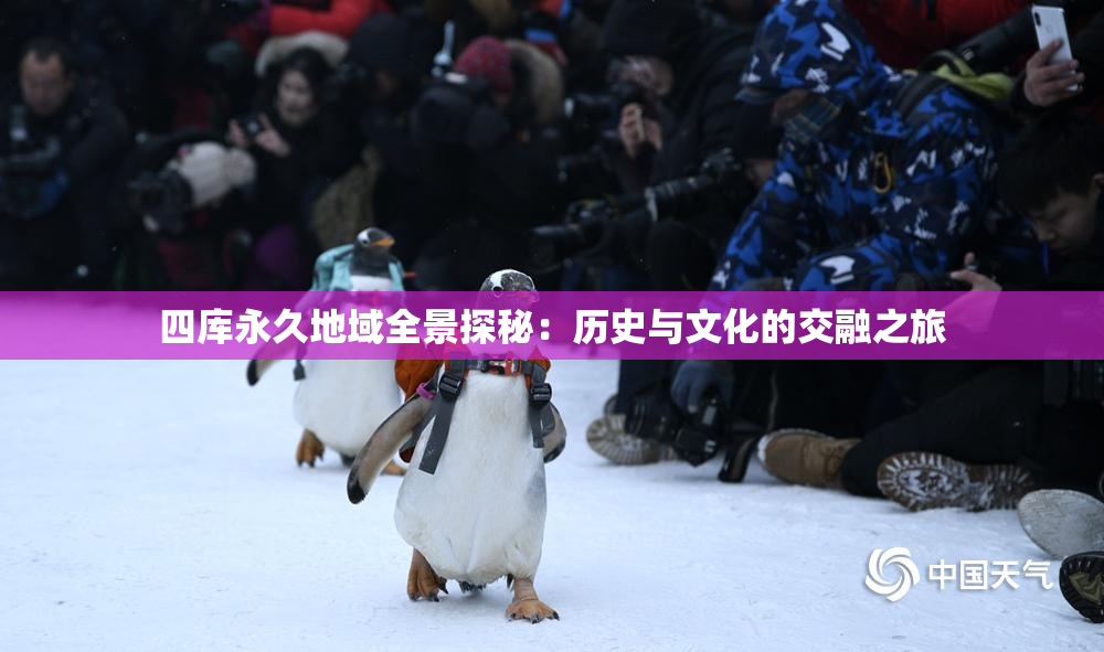 四库永久地域全景探秘：历史与文化的交融之旅