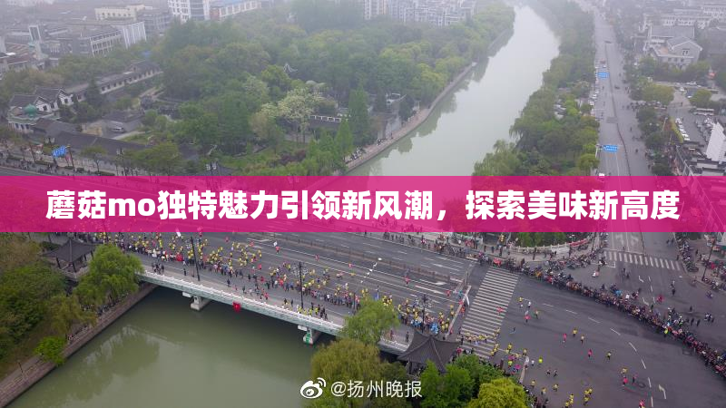 蘑菇mo独特魅力引领新风潮，探索美味新高度
