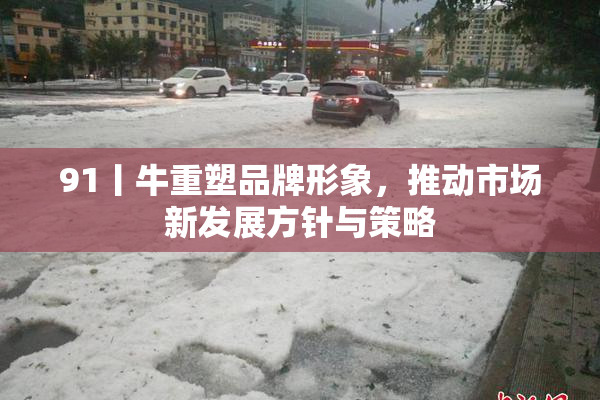 91丨牛重塑品牌形象，推动市场新发展方针与策略