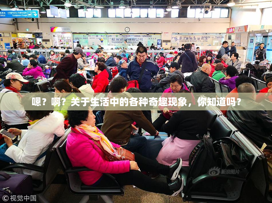 嗯？啊？关于生活中的各种奇趣现象，你知道吗？