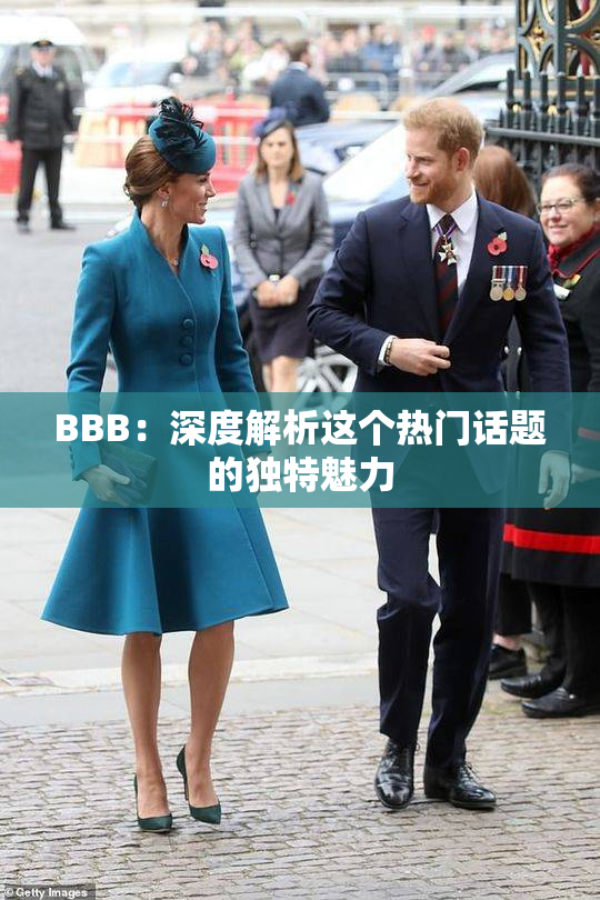 BBB：深度解析这个热门话题的独特魅力