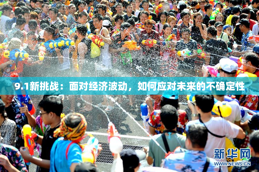 9.1新挑战：面对经济波动，如何应对未来的不确定性