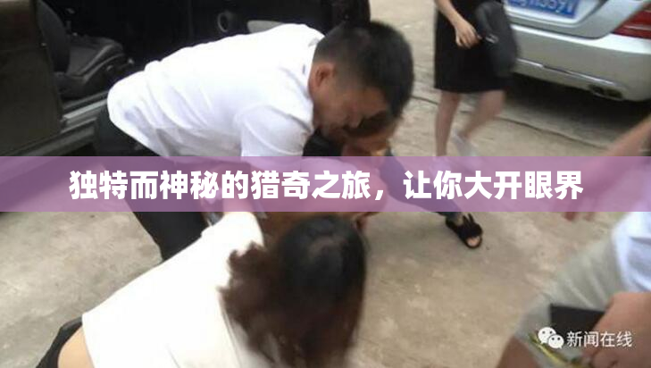 独特而神秘的猎奇之旅，让你大开眼界