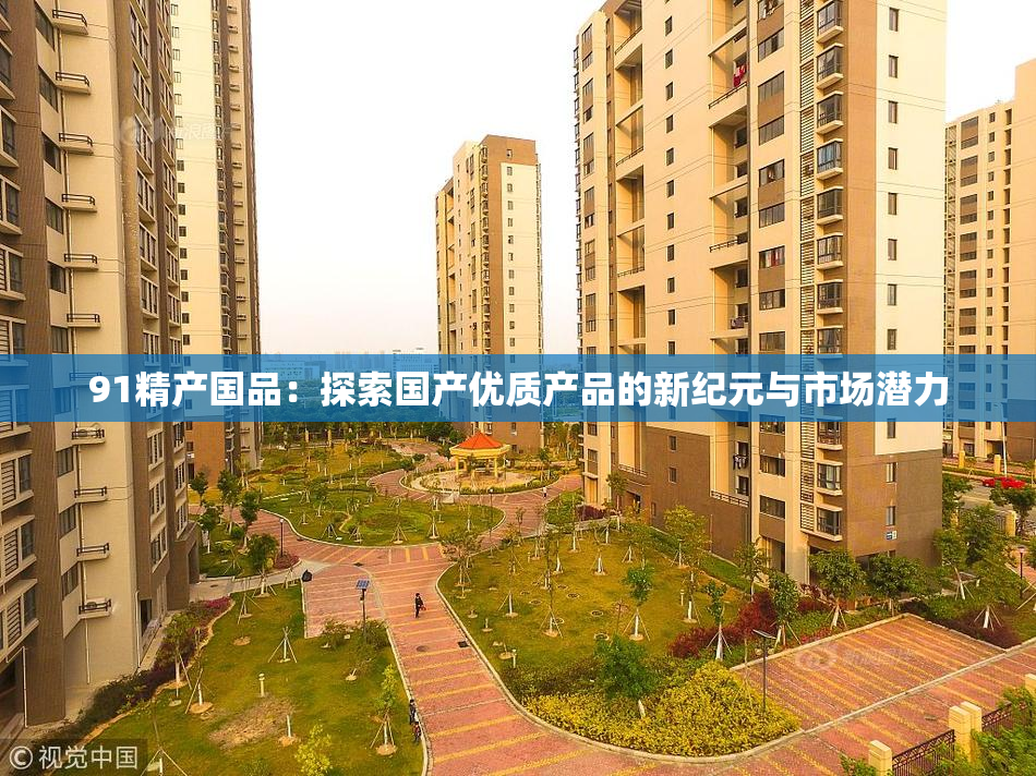 91精产国品：探索国产优质产品的新纪元与市场潜力