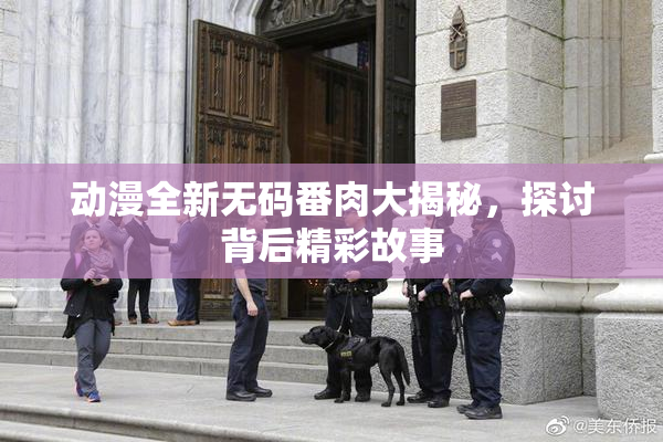 动漫全新无码番肉大揭秘，探讨背后精彩故事
