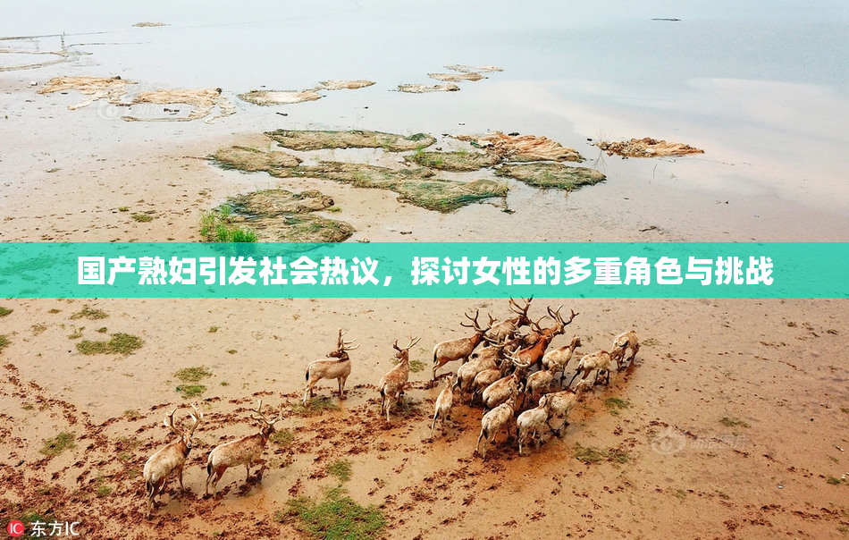 国产熟妇引发社会热议，探讨女性的多重角色与挑战