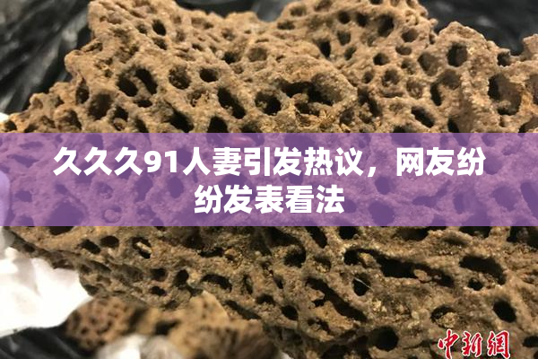 久久久91人妻引发热议，网友纷纷发表看法