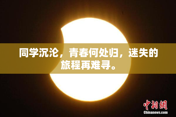 同学沉沦，青春何处归，迷失的旅程再难寻。