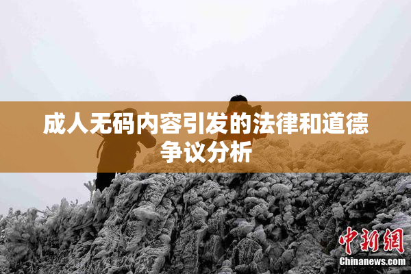 成人无码内容引发的法律和道德争议分析