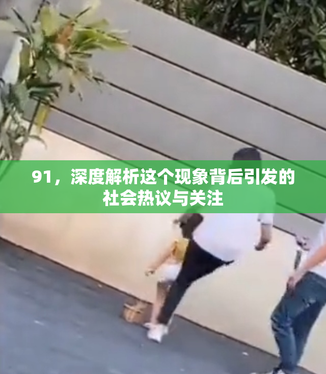 91，深度解析这个现象背后引发的社会热议与关注
